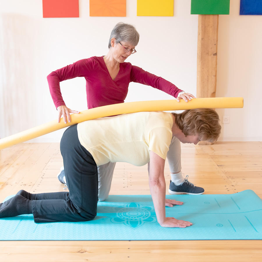 Anita von Wartburg | Therapiemethoden | Bewegungstraining | Rückentraining